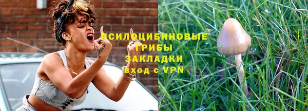 спиды Заводоуковск